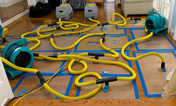 Professional Crawl Space Water Removal technician working in North Salem, IN